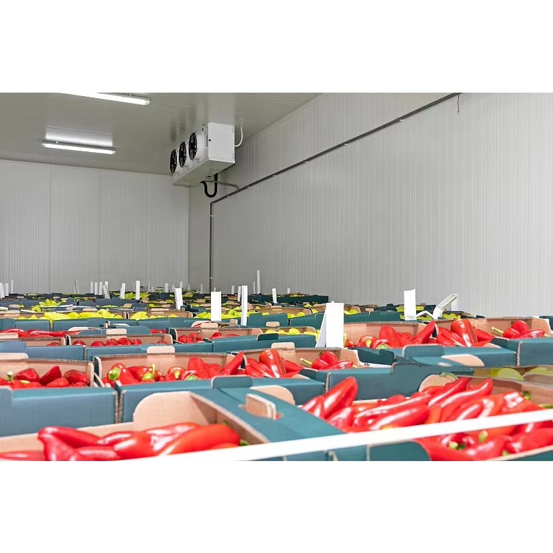 Customized Cold Room Hot Sale  - đánh giá và giá Food Storage Keep Hot