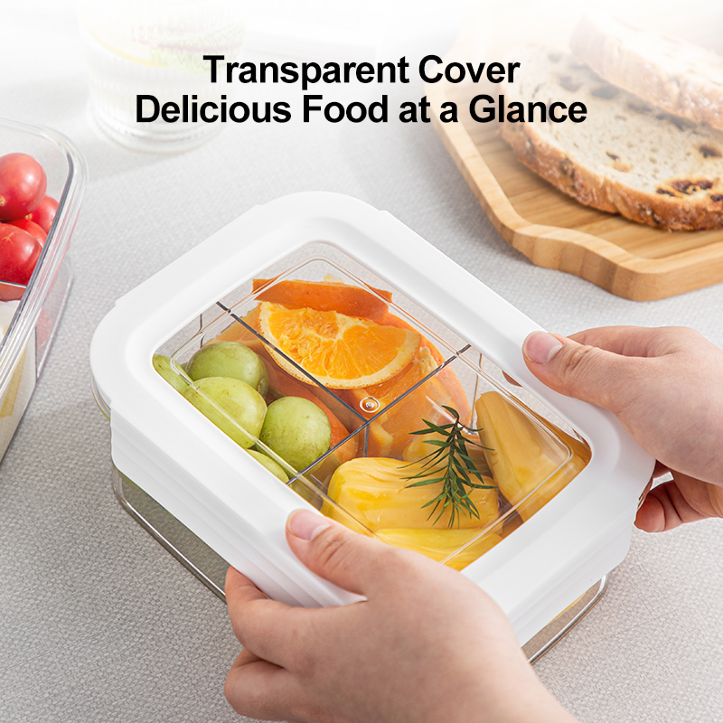 Salad Lunch Box Portable Visib - đánh giá và giá Food Storage With Compartments