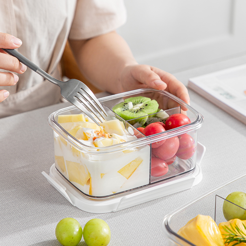 Salad Lunch Box Portable Visib - đánh giá và giá Food Storage With Compartments
