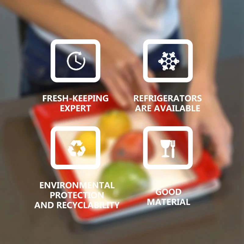 Food Preservation Tray PP Reus - đánh giá và giá Food Storage Food Safety