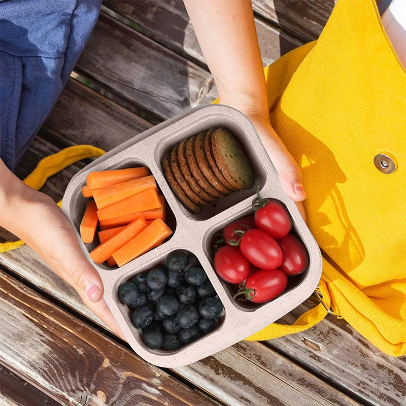 4 Grids Food Storage Box Porta - đánh giá và giá Food Storage With Compartments