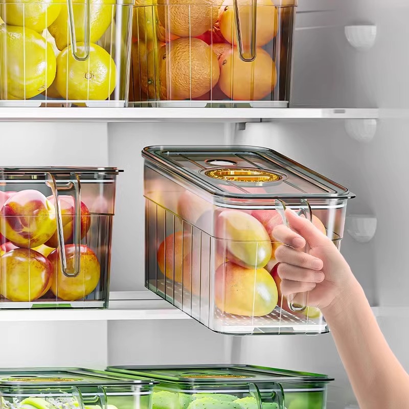 Refrigerator sorting storage b - đánh giá và giá Food Storage Refrigerator
